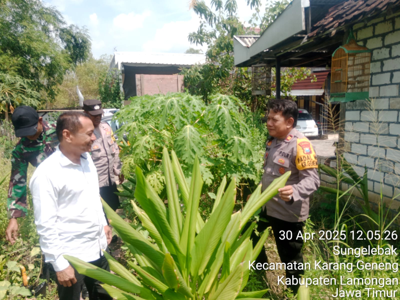 Kapolsek Karanggeneng Bersama Tiga Pilar Monitoring Rumah Benih di Desa Sungelebak, Dukung Ketahanan Pangan Nasional