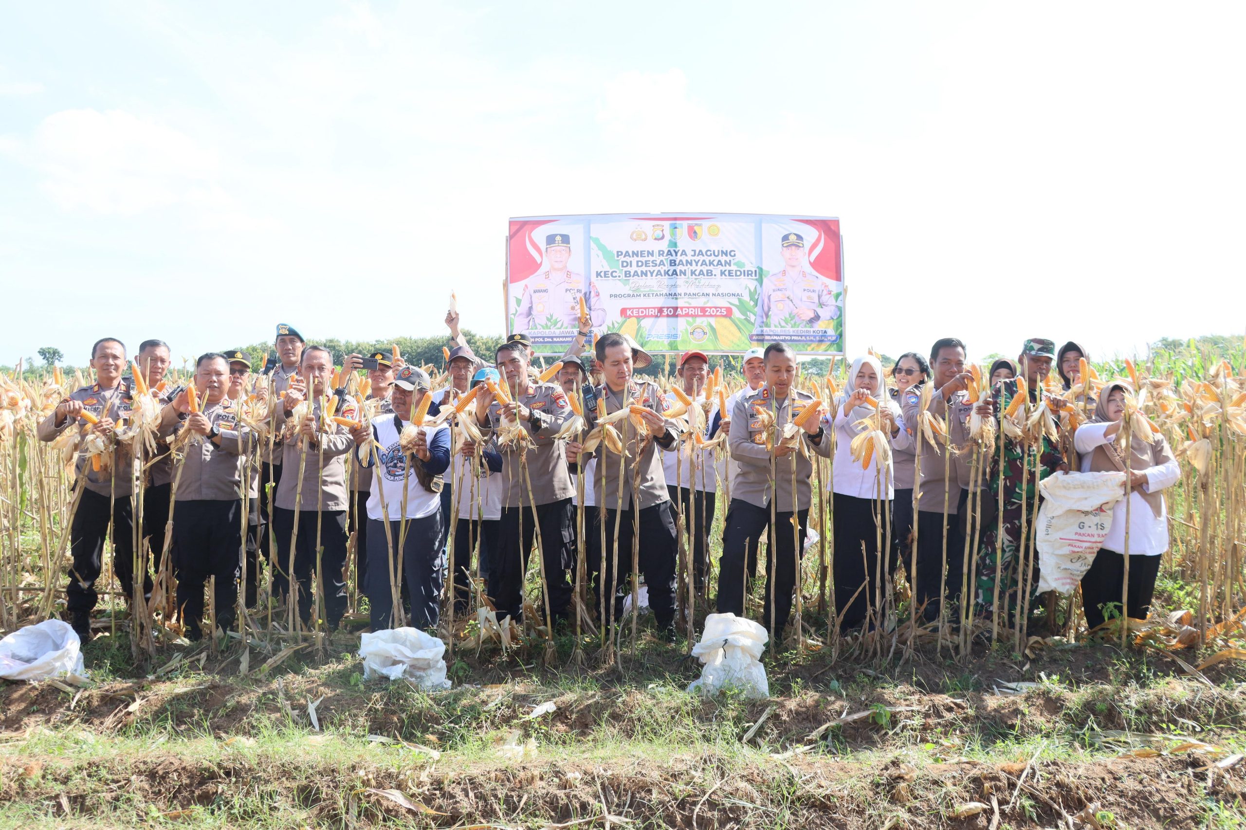 Polres Kediri Kota bersama Warga Tani Panen Raya Jagung, Wujud Nyata Dukung Swasembada Pangan