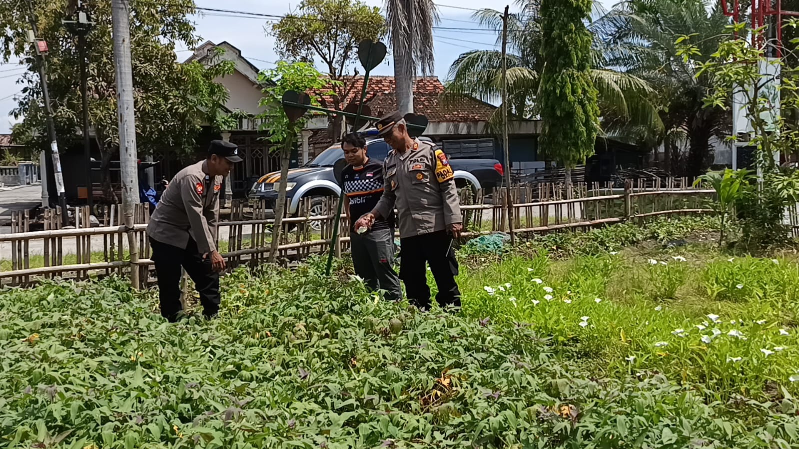 Kapolsek Maduran Tindaklanjuti Arahan Satgas Ketahanan Pangan, Cek Pekarangan Rumah Bergizi di Desa Gumantuk