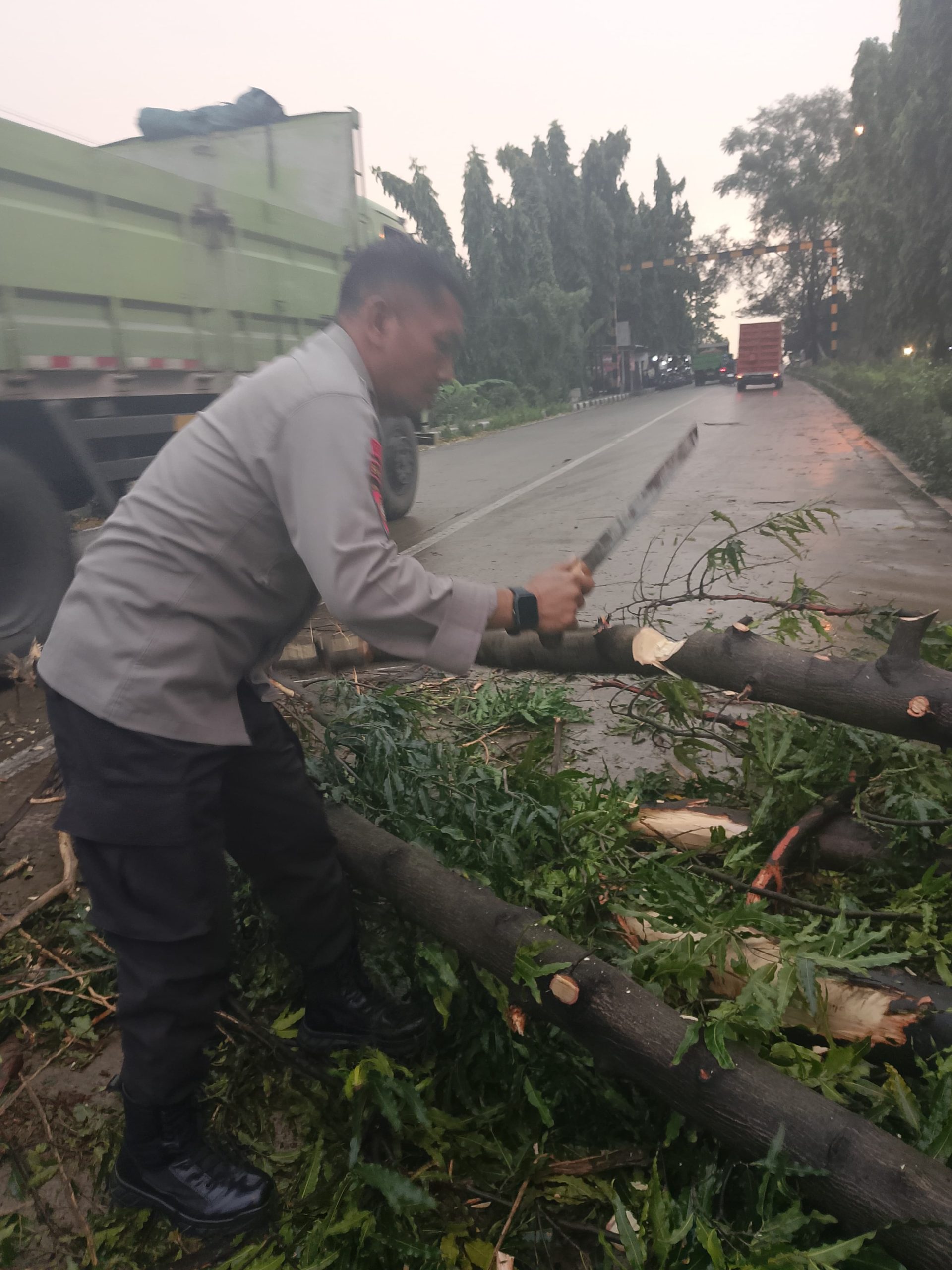 Quick Respon Polsek Babat Evakuasi Pohon Tumbang di Jalur Babat-Widang