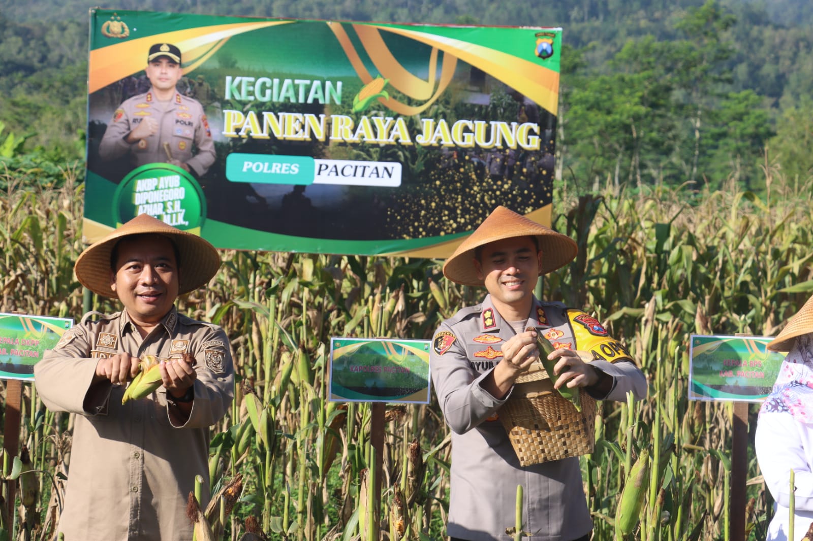 Polres Pacitan Bersama Warga Tani Panen Jagung Wujudkan Ketahanan Pangan Nasional