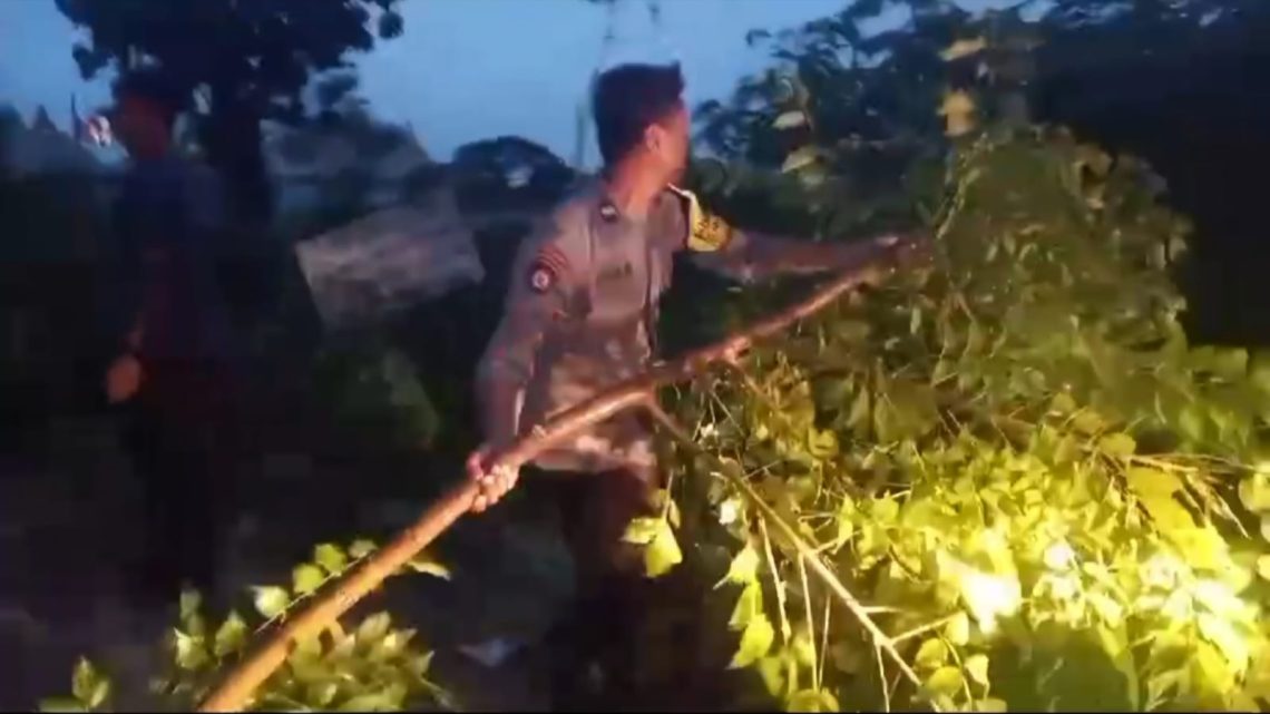 Aksi Sigap Polsek Glagah Bantu Warga Evakuasi Pohon Tumbang