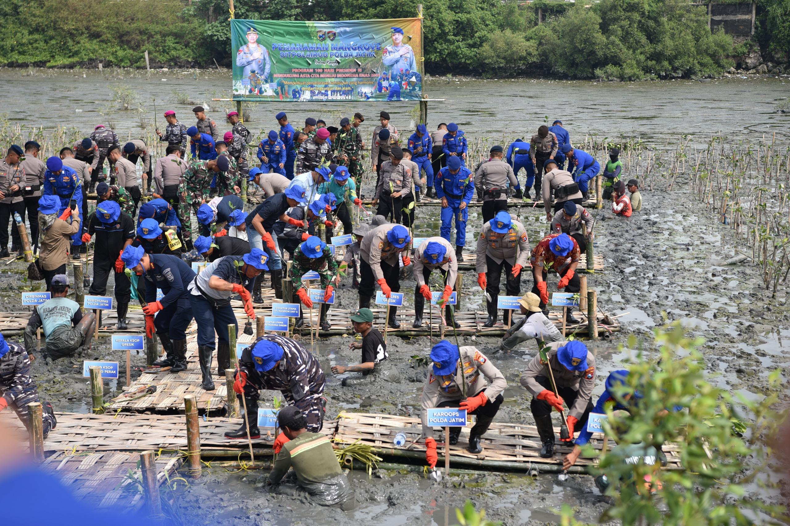 Lestarikan Lingkungan, Ditpolairud Polda Jatim Tanam Belasan Ribu Bibit Mangrove di Gresik