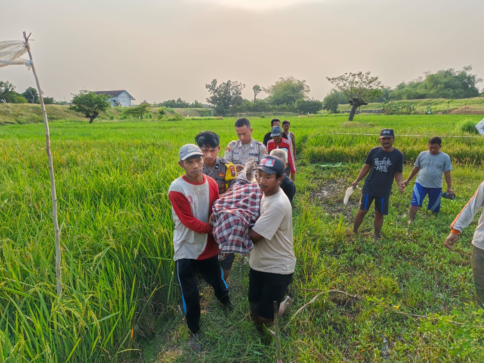 Polres Lamongan Evakuasi Korban Meninggal Dunia Di Duga Akibat Kesetrum Jebakan Tikus di Area Persawahan