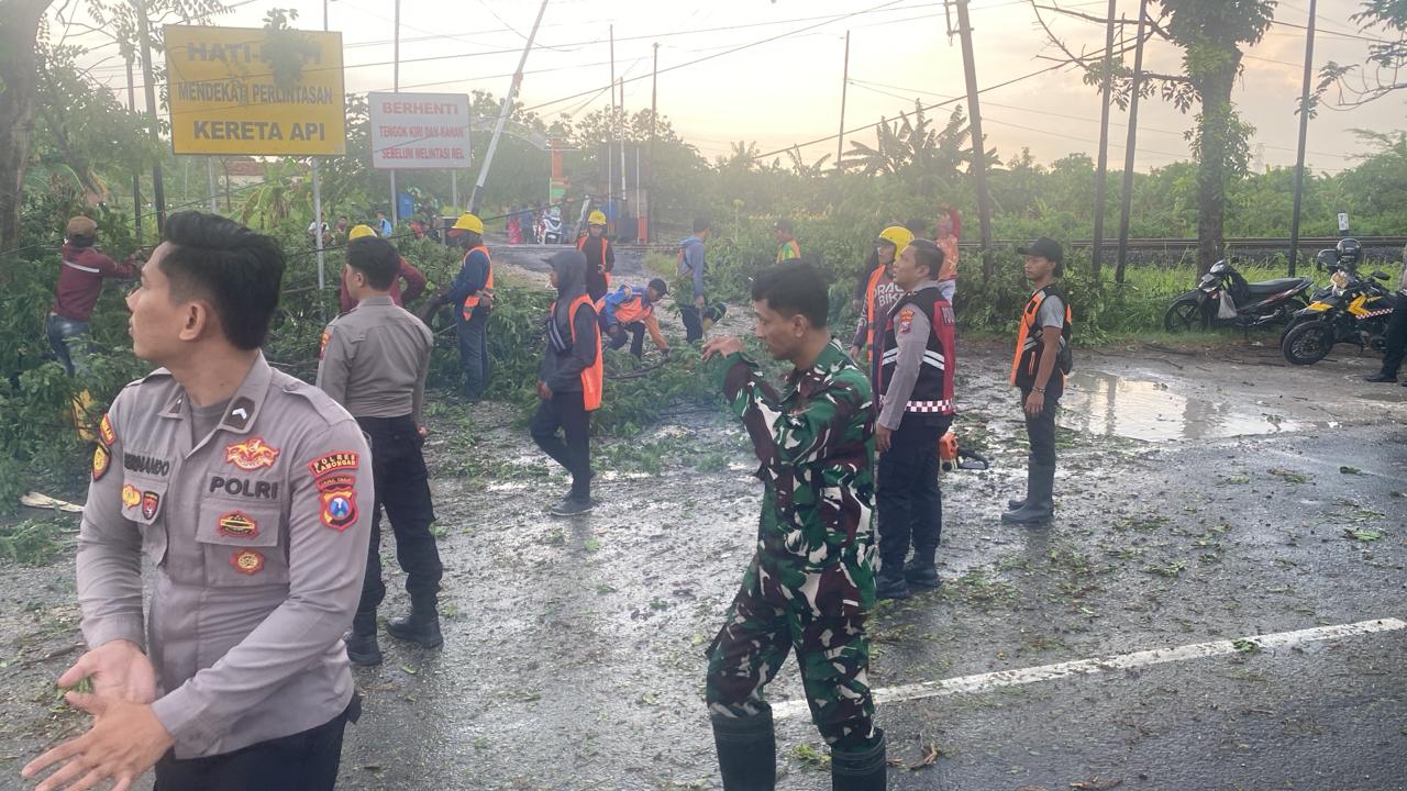 Aksi Tanggap Bencana, Polres Lamongan Evakuasi Pohon Tumbang di Sukodadi